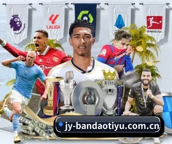 半岛体育 APP(BandaoSports)